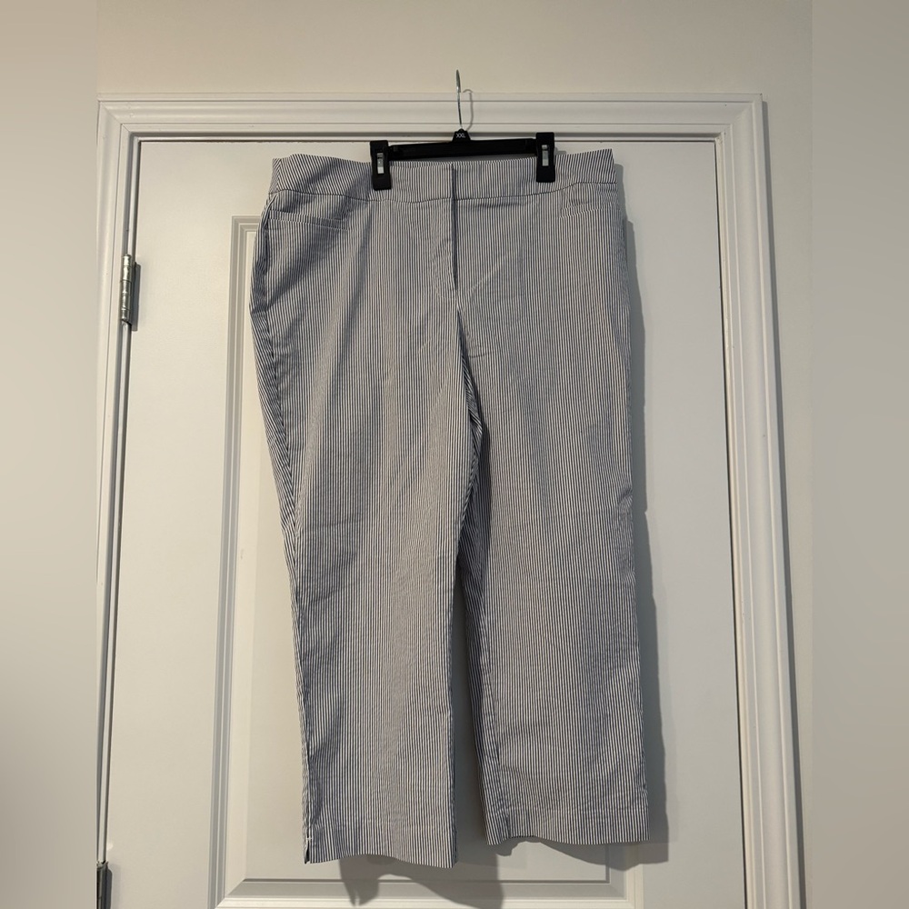 Ann Taylor Factory Seersucker Pants - Picture 3 of 8